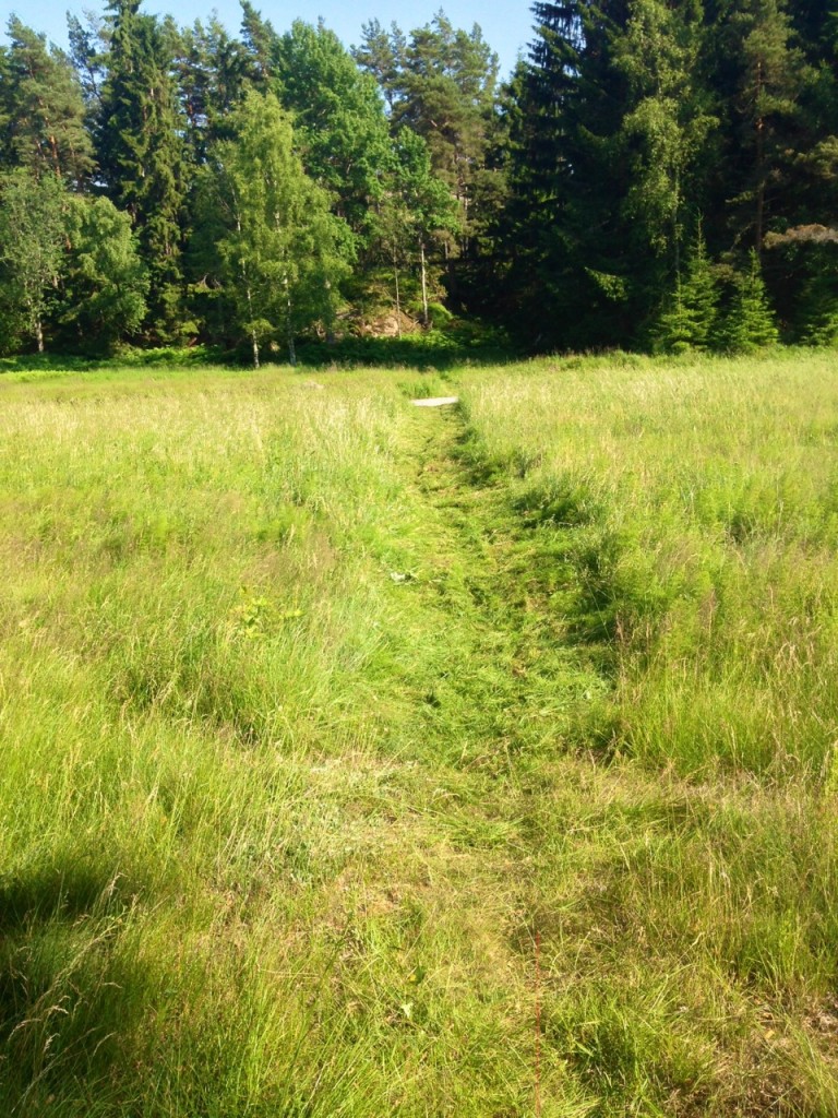 Ängen